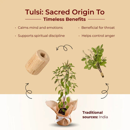 Asli Shree Hanuman Tulsi Kanthi Mala | Sacchi Shraddha Ke Lie |
